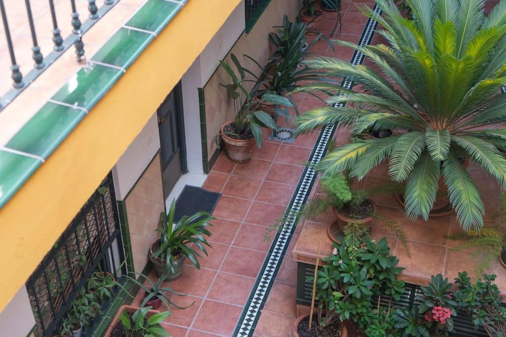 Apartamento Junto A Las Setas De Sevilla Exteriér fotografie